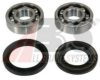  200164 Wheel Bearing Kit
